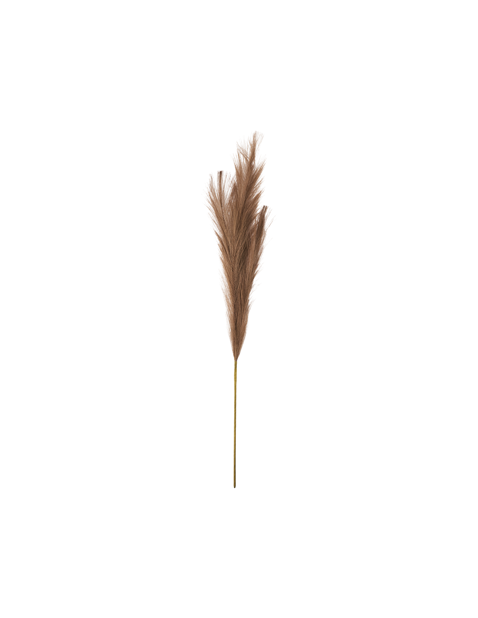 Artificial pampas grass Polyester/paper/wire. 80 cm. Søstrene Grene