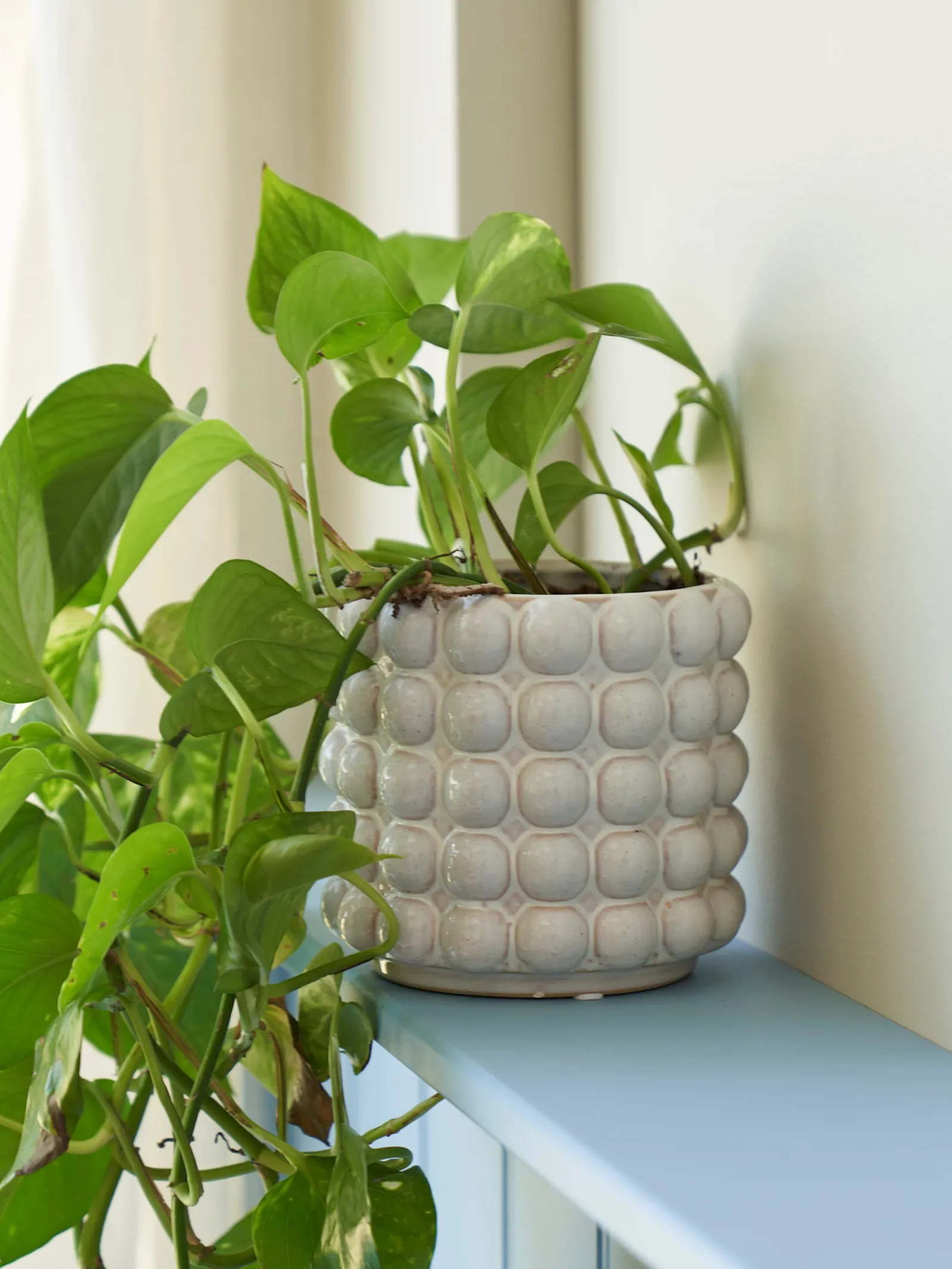 Cache pot C ramique 14 7 X 13 7 Cm S strene Grene cache-pot-c-ramique-14-7-x-13-7-cm-s-strene-grene