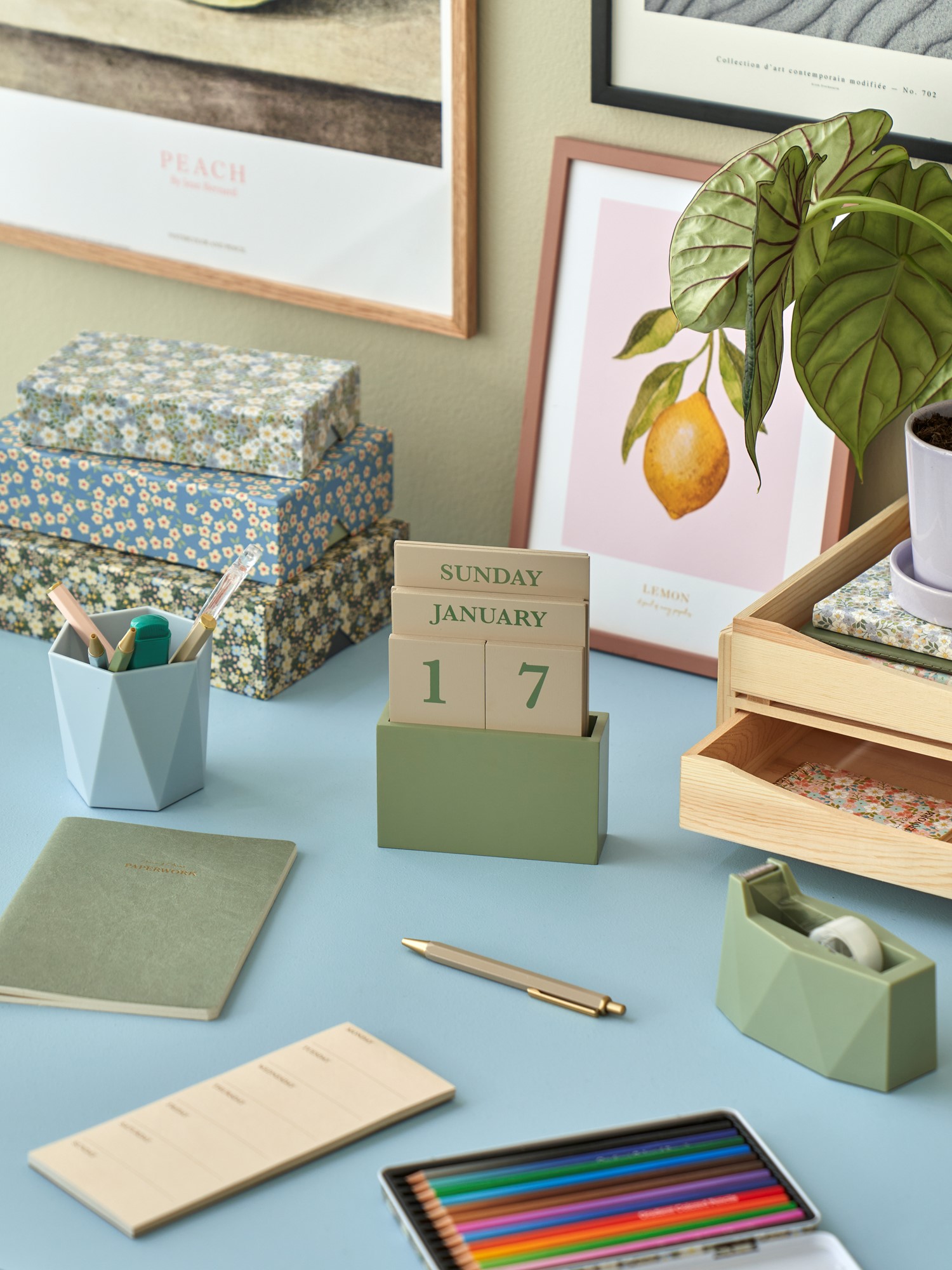 Novelties Søstrene Grene