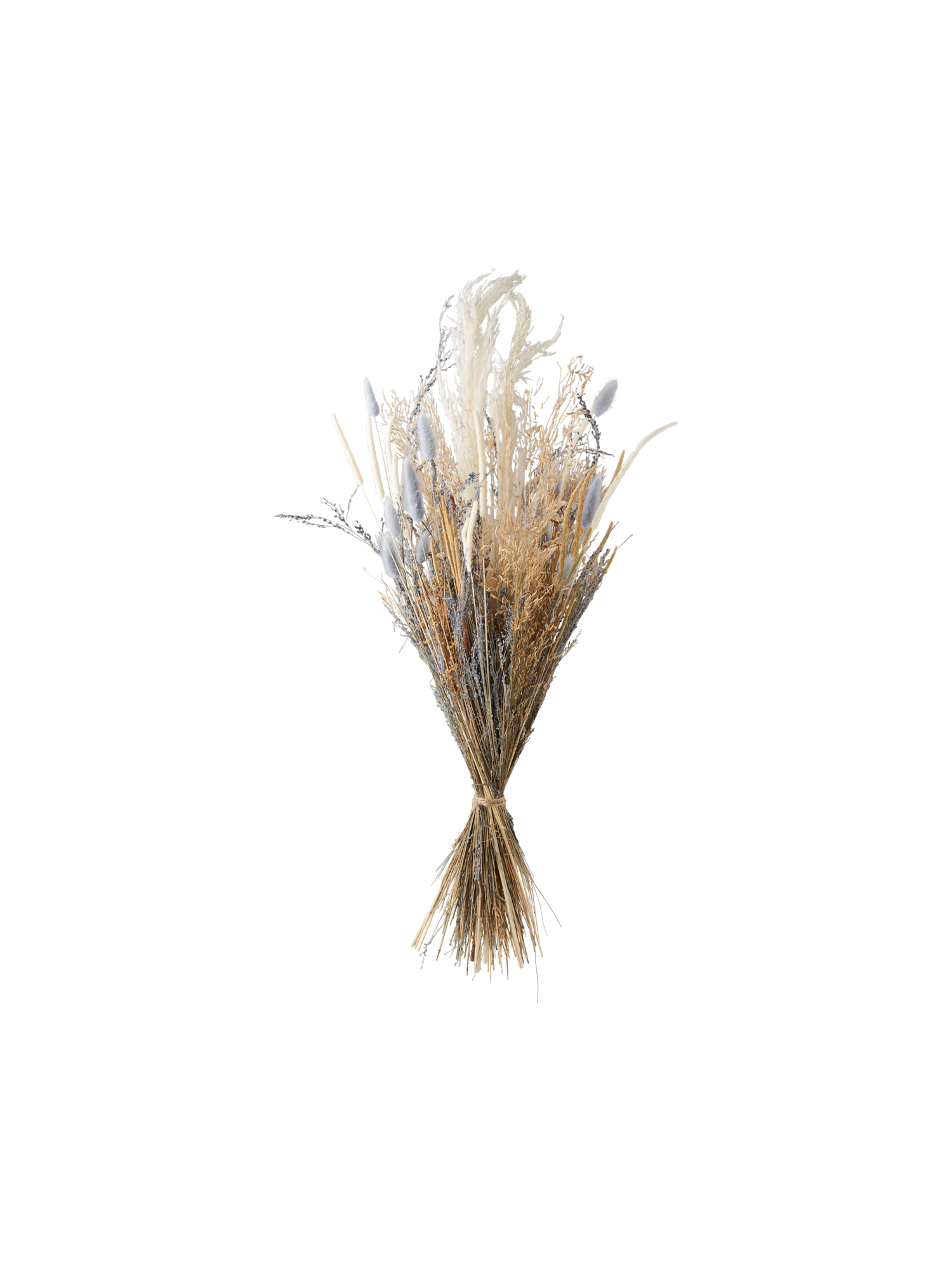 YZROHYI Trockenblumen Set 64 Teile - Pampasgras & Boho Deko Für Zuhause