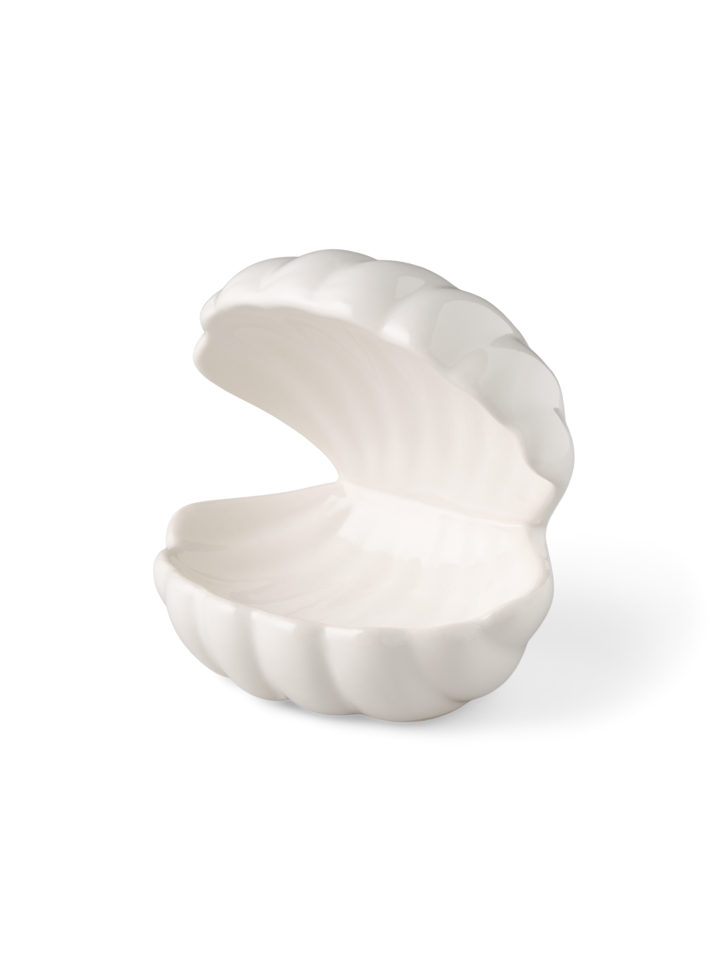 decoratieve-schelp-dolomiet-12-x-10-x-13-cm-white