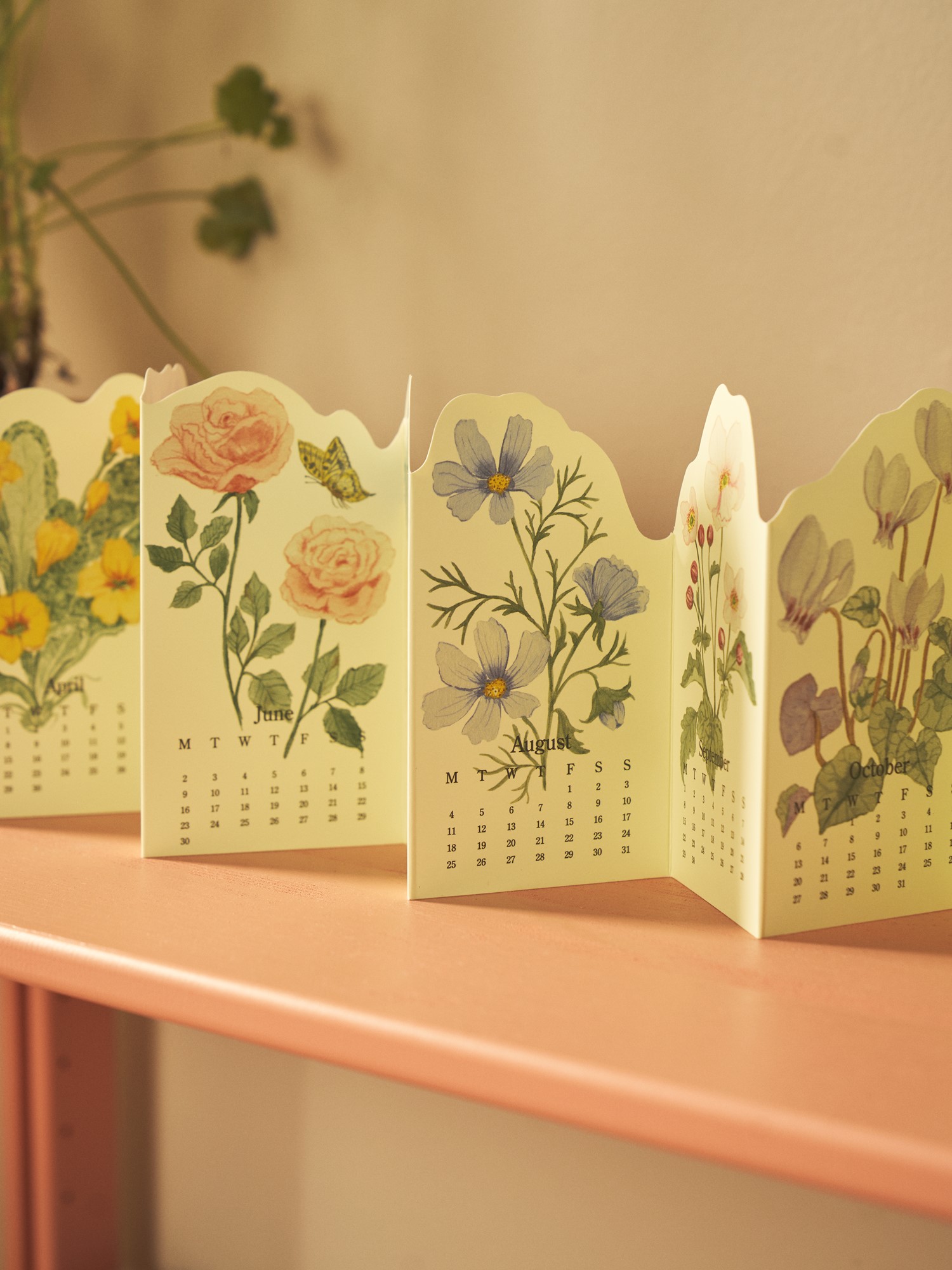 populaire-s-strene-grene