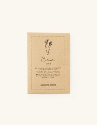 Carrot Seeds Paper. 10 x 7 cm.