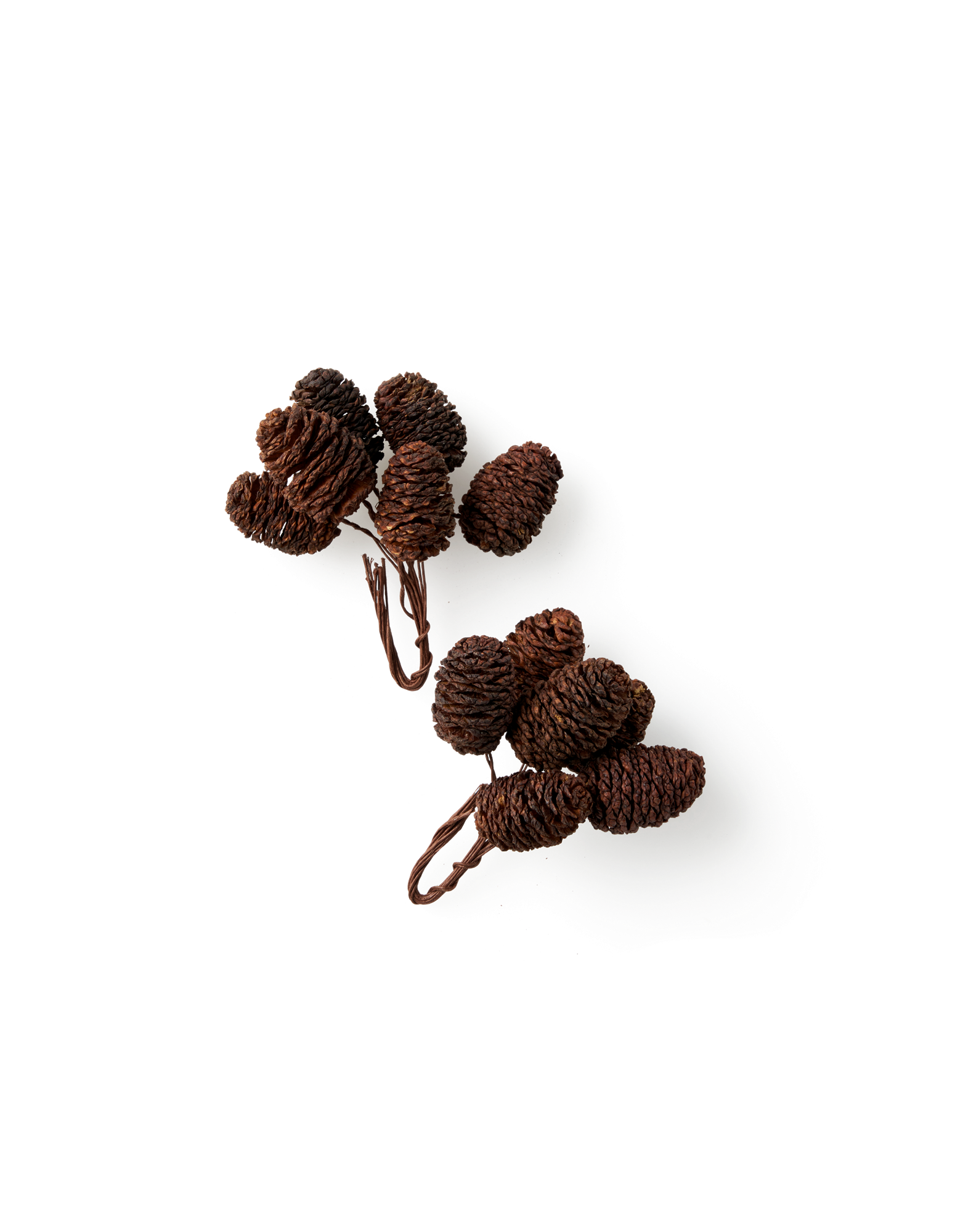 Petites Pommes De Pin Trouvez Votre Petites Pommes De Pin Ici Sostrene Grene