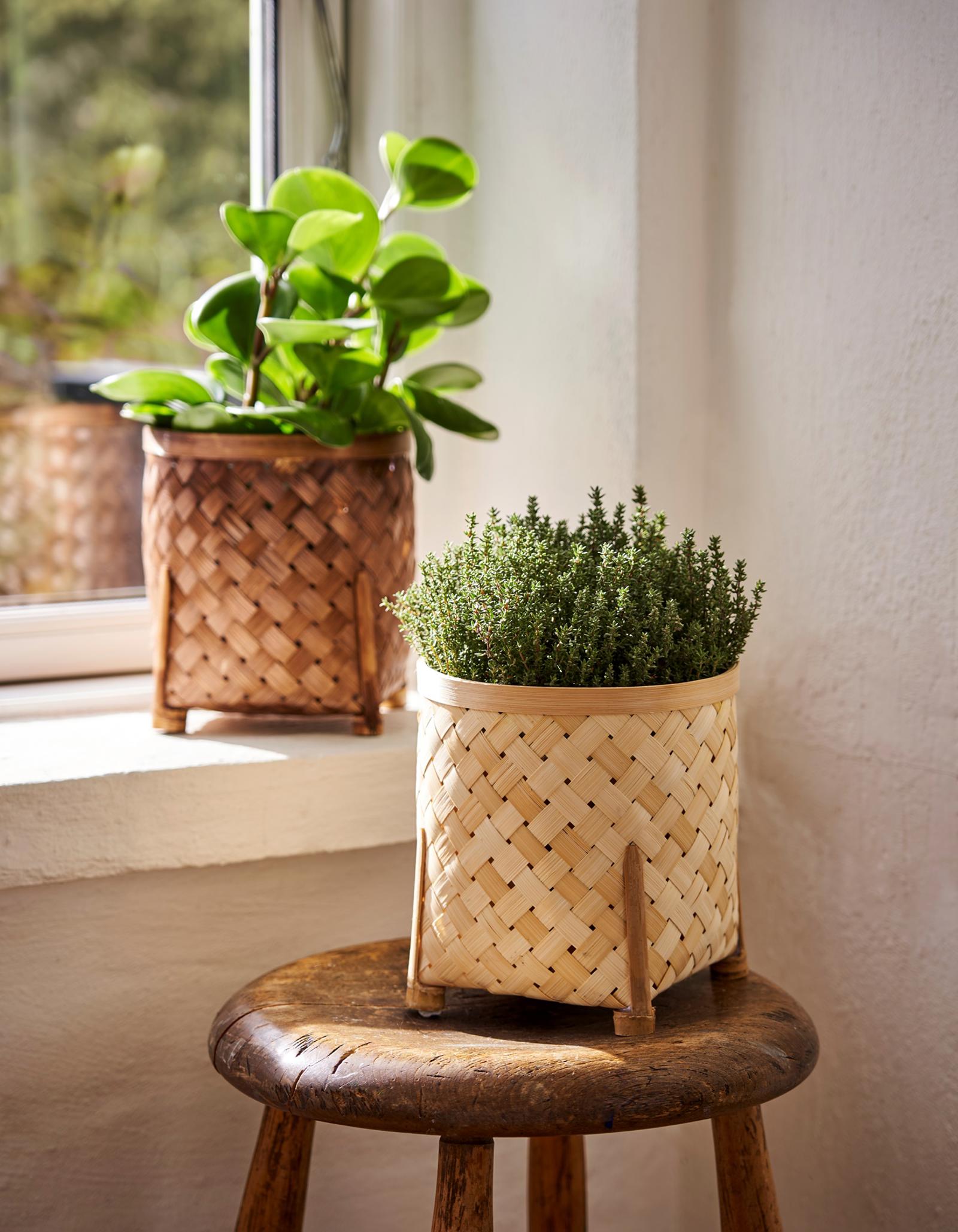 Blumentopf Bambus 16 x 18 cm S strene Grene Blumentopf Bambus 16 x 18 cm S strene Grene